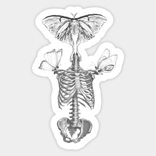 Butterfly skeleton Sticker